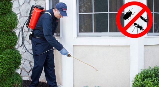 Çamlıdere Hamam Böceği İlaçlama böcek ilaçlama ve haşere kontrolü — ilaclama-tr.com